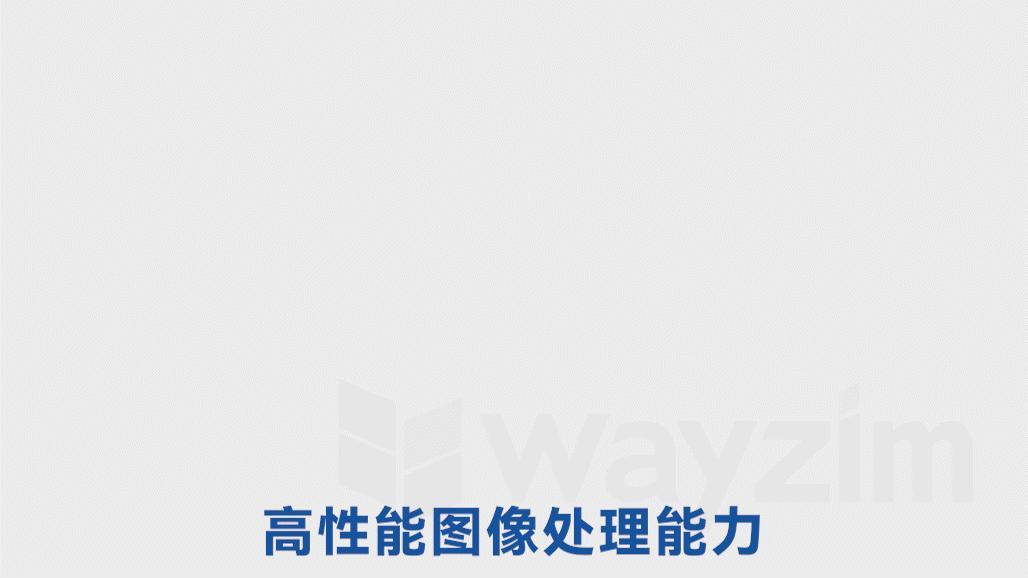 高性能图像处理能力
