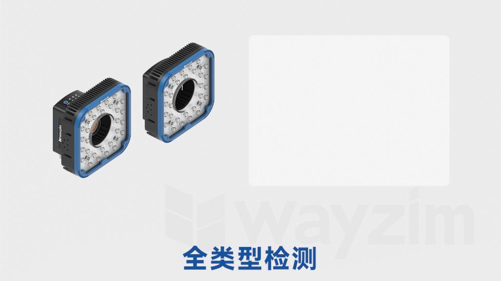 全类型检测