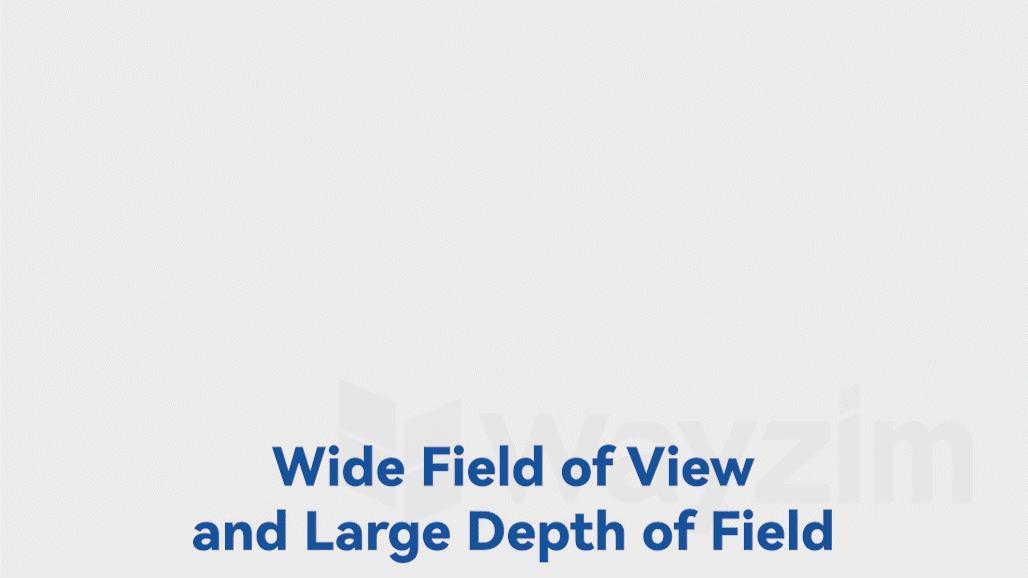 Wide field of view and large depth of field
