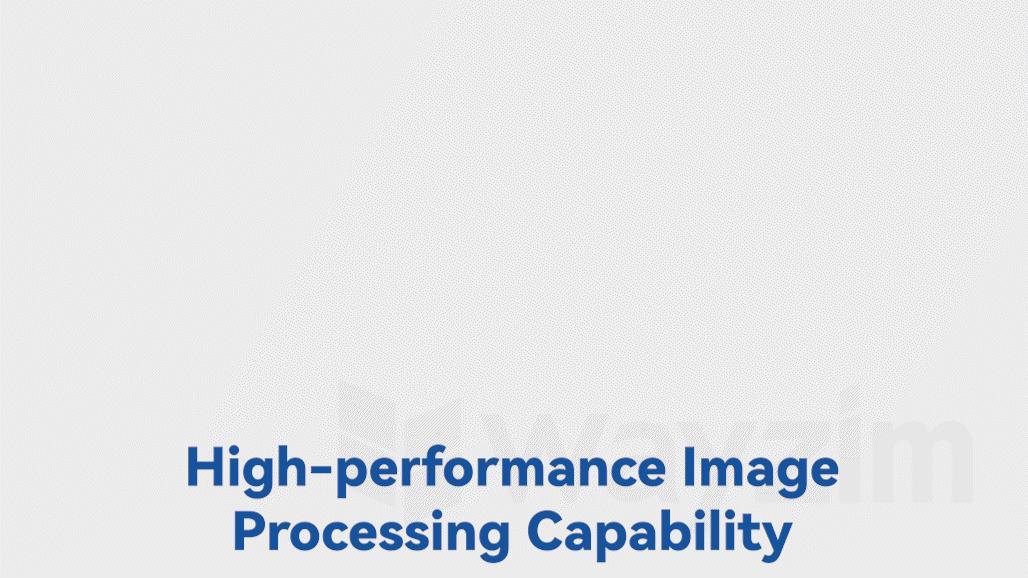 High-performance image processing capability