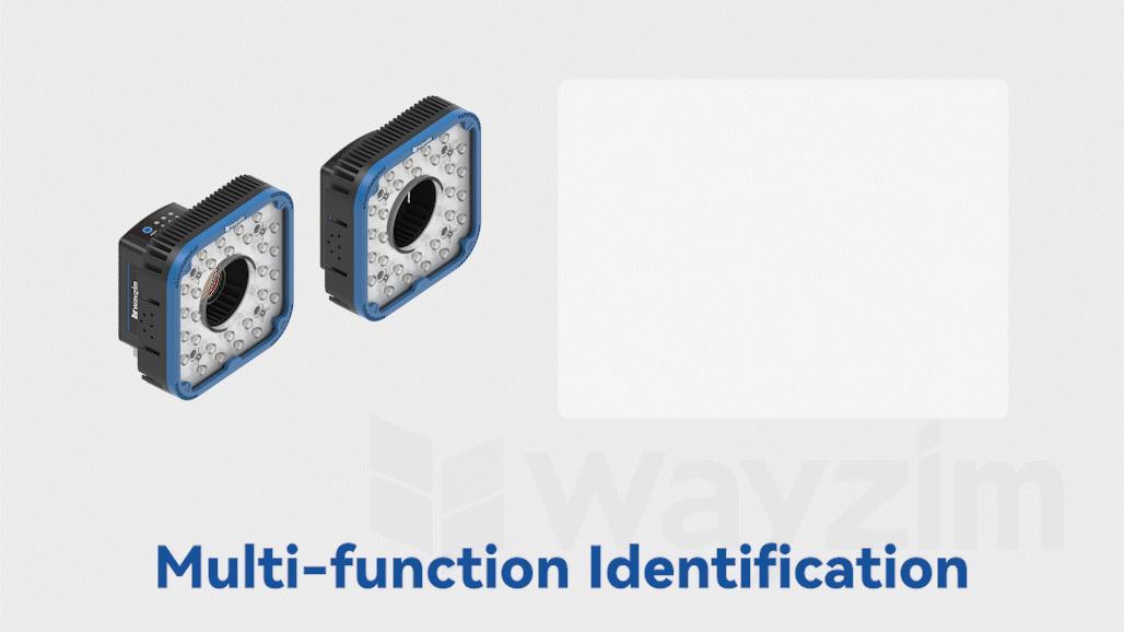 Multi-function identification