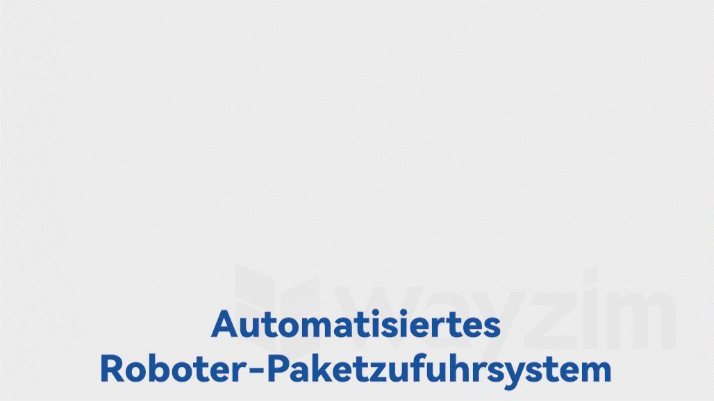 Automatisierte Roboter-Paketzuführung