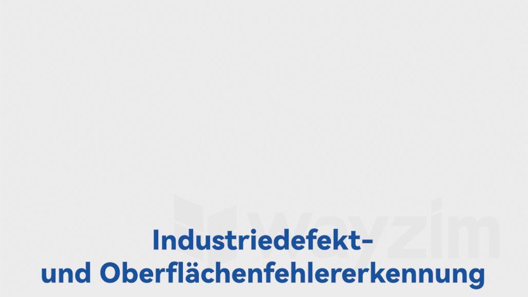 Präzise Analyse und umfassende Erkennung