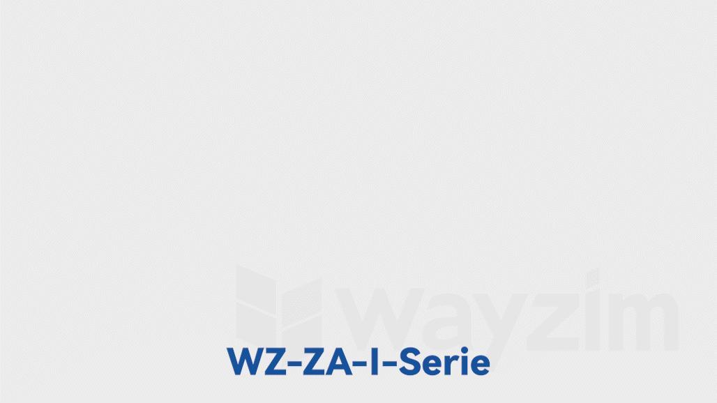 Intelligenter Barcodeleser der WZ-ZA-I-Serie 