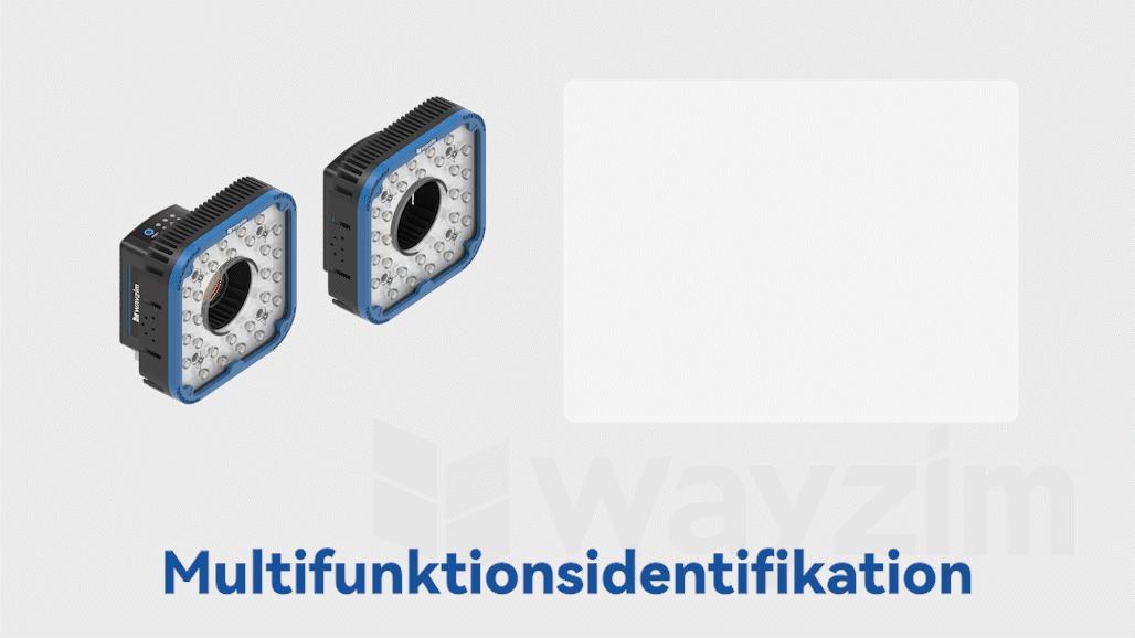 Multifunktionsidentifikation