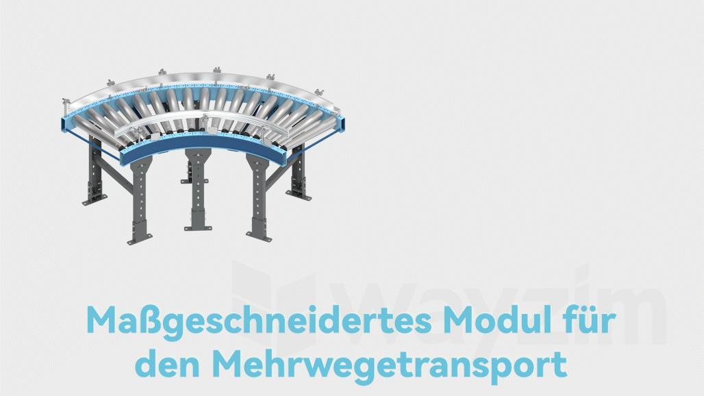 Modulanpassung und multidirektionale Förderung